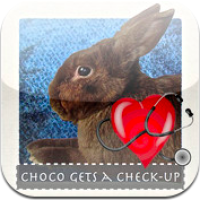 Choco Gets A Check-Up | Book Apps