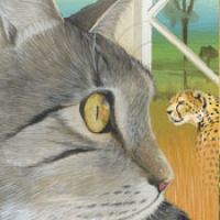 My Cat at Home in the Wild | Book App